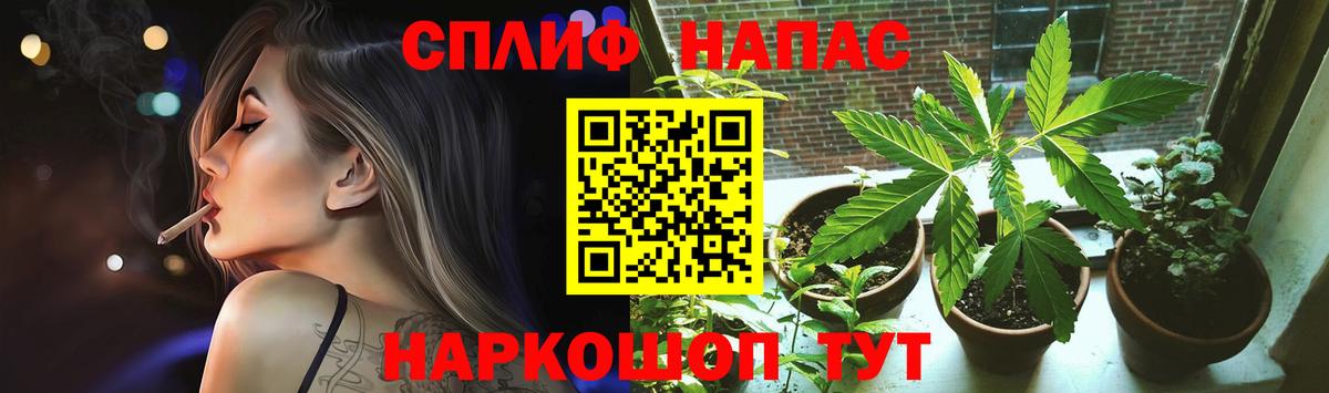 Каннабис конопля Зеленодольск